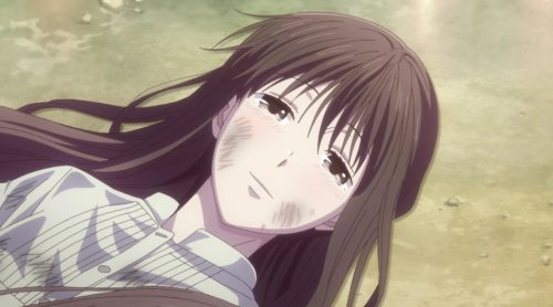 Fruits Basket: The Final Episode 9